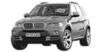 BMW E70 P1DDC Fault Code