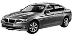 BMW F10 P1DDC Fault Code
